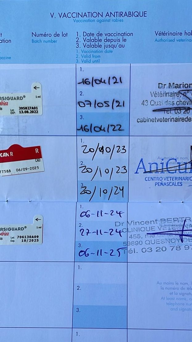 Pagina de las vacunas dentro del pasaporte